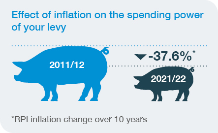 An infographic showing the effect of inflation on the spending power of the levy in pork (-37.6%)
